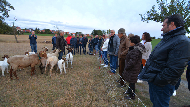 Clubbesuch bei Dr. Heyner